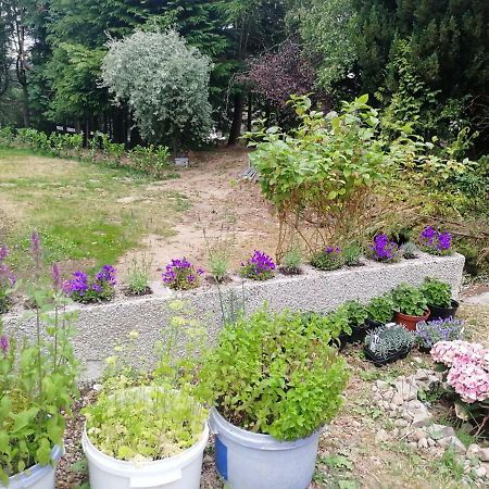 Hotel Robinhill Garden Forres Zewnętrze zdjęcie