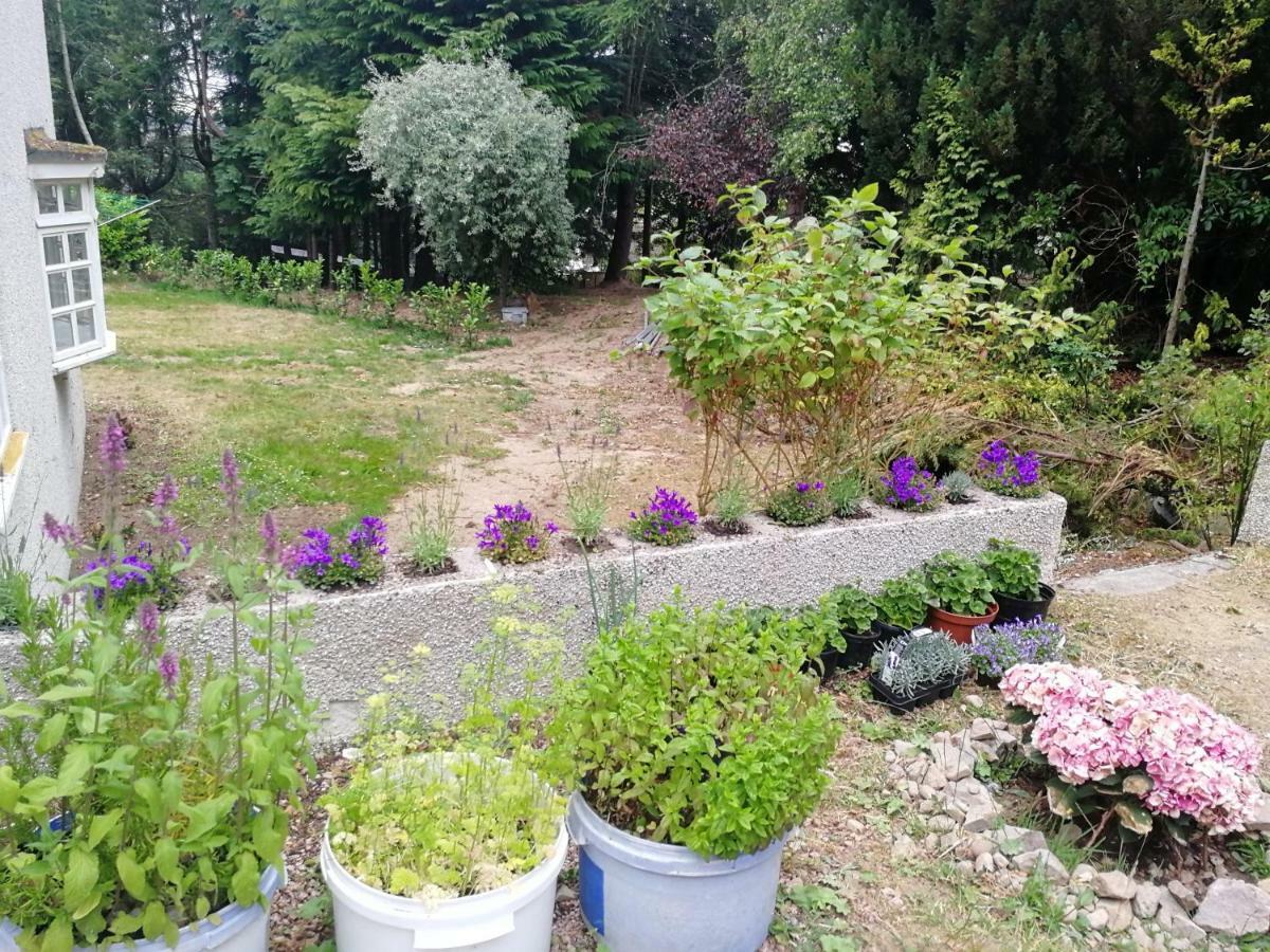 Hotel Robinhill Garden Forres Zewnętrze zdjęcie